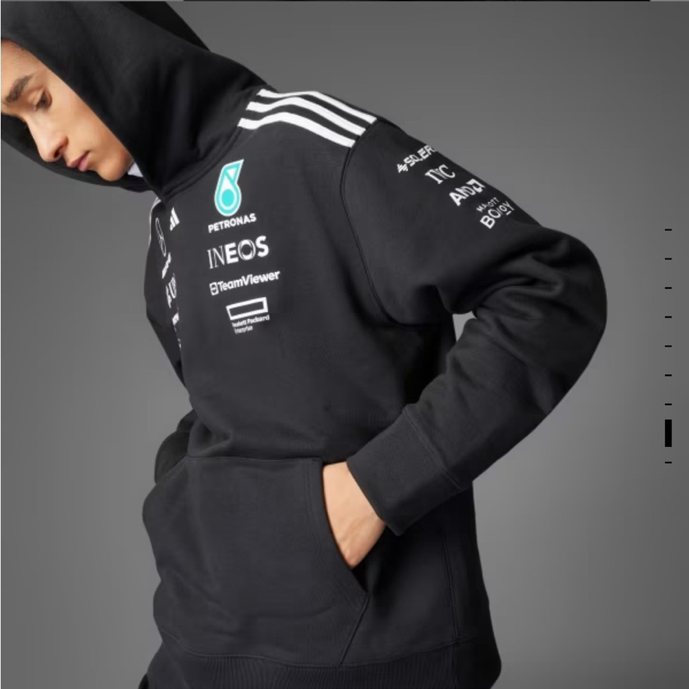 Mercedes AMG Petronas Formula One Team Hood

NWOT